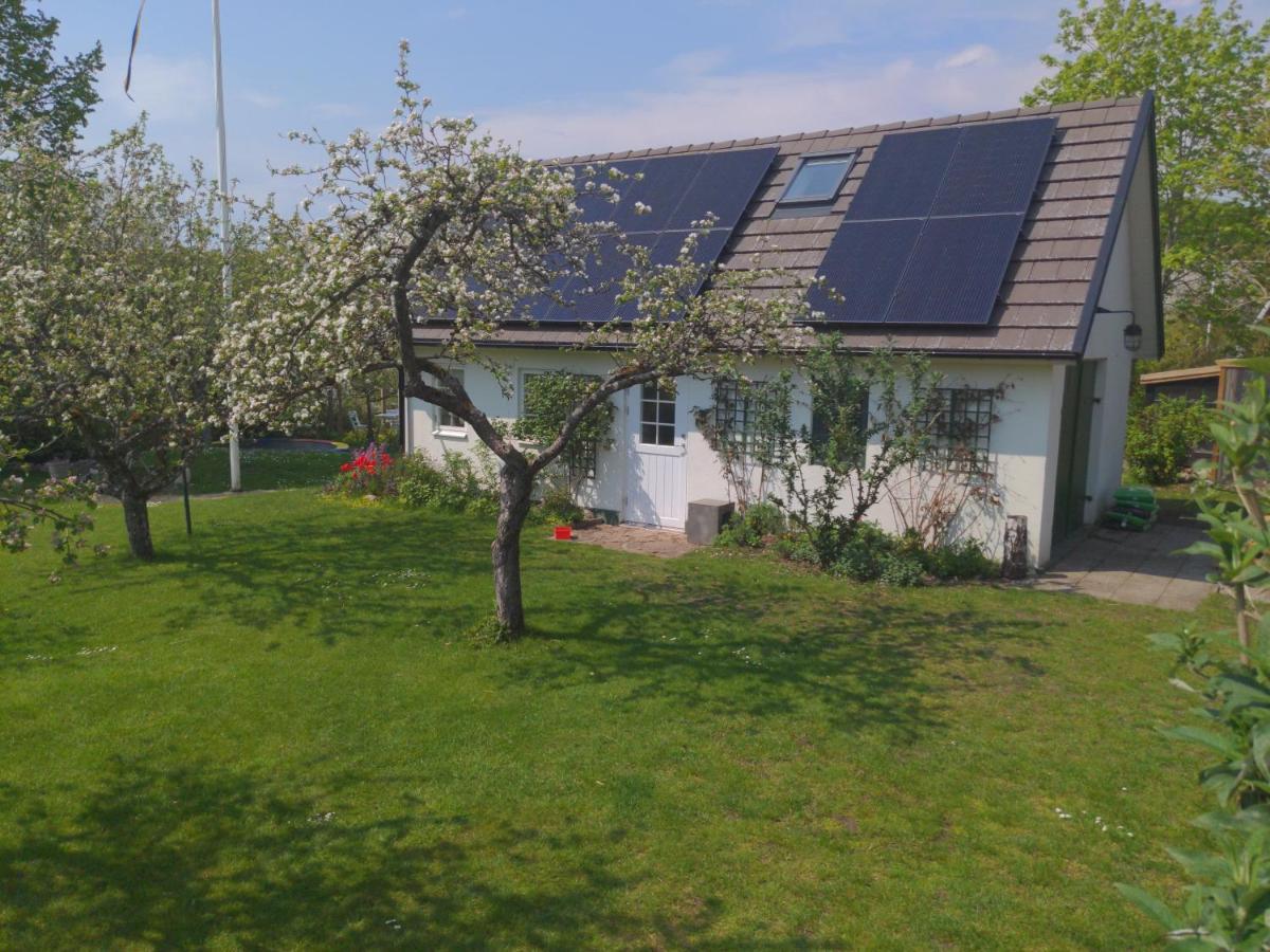 Lillan Hotel Torna Hallestad Buitenkant foto